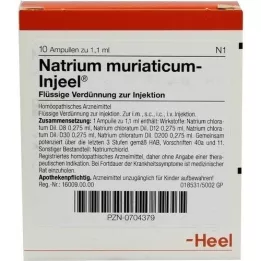 NATRIUM MURIATICUM INJEEL Ampullen, 10 stuks