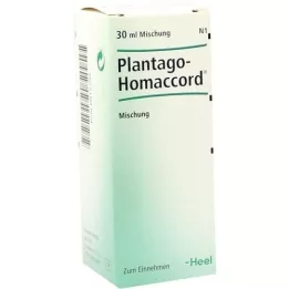 PLANTAGO HOMACCORD Druppels, 30 ml