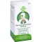 HEUSCHNUPFENMITTEL Dreluso tabletten, 100 stuks