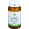 HEUSCHNUPFENMITTEL Dreluso tabletten, 100 stuks