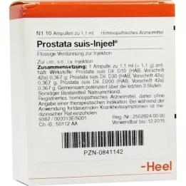 PROSTATA SUIS Injeel-ampullen, 10 stuks