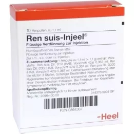REN suis Injeel ampullen, 10 stuks