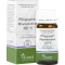 PFLÜGERPLEX Rhododendron 307 H tabletten, 100 st