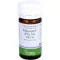 PFLÜGERPLEX Rhus tox.353 H tabletten, 100 stuks