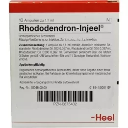 RHODODENDRON INJEEL Ampullen, 10 stuks