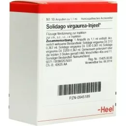 SOLIDAGO VIRGAUREA INJEEL Ampullen, 10 stuks