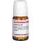 PHYTOLACCA D 1 tabletten, 80 stuks