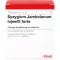 SYZYGIUM JAMBOLANUM INJEEL forte ampullen, 10 stuks