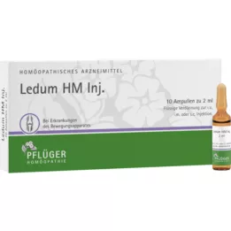 LEDUM HM Injectampullen, 10 stuks