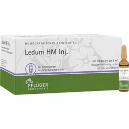 LEDUM HM Injectampullen, 50 stuks