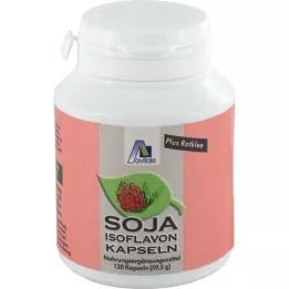 SOJA ISOFLAVON Capsules 60 mg+E, 120 st
