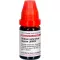 STIBIUM SULFURATUM NIGRUM LM XXIV Verdunning, 10 ml