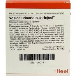 VESICA URINARIA suis-Injeel ampullen, 10 stuks