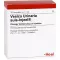 VESICA URINARIA suis-Injeel ampullen, 10 stuks