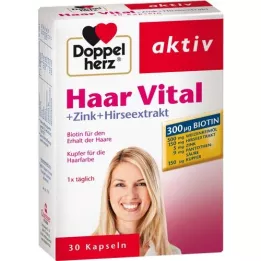 DOPPELHERZ Haar Vital + Zink + Gierstextractcapsules, 30 st