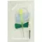 BD VACUTAINER Safety Lok 21 G 18 cm bloedafnameset, 1 stuk