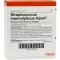 STREPTOCOCCUS HAEMOLYTICUS Injeel-ampullen, 10 stuks