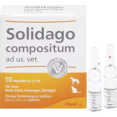 SOLIDAGO COMPOSITUM ad us.vet.ampullen, 10 st SOLIDAGO COMPOSITUM ad us.vet.ampullen, 10 st