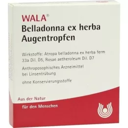 BELLADONNA EX HERBA Oogdruppels, 5X0,5 ml
