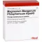 MAGNESIUM MANGANUM fosforicum Injeel-ampullen, 10 stuks