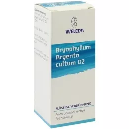 BRYOPHYLLUM ARGENTO cultum D 2 verdunning, 50 ml