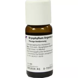 BRYOPHYLLUM ARGENTO cultum D 3 verdunning, 50 ml