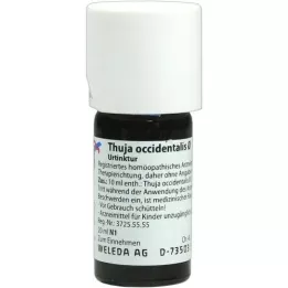 THUJA OCCIDENTALIS Moedertinctuur, 20 ml