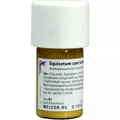 EQUISETUM CUM Zwavel tostum D 6 Trituratie, 20 g EQUISETUM CUM Zwavel tostum D 6 Trituratie, 20 g