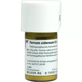 FERRUM SIDEREUM D 6 Trituratie, 20 g