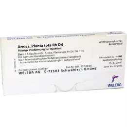 ARNICA PLANTA totaal Rh D 6 ampullen, 8X1 ml
