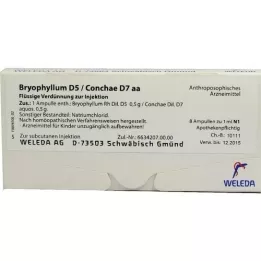 BRYOPHYLLUM D 5/Conchae D 7 ampullen, 8X1 ml