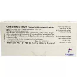 CARBO BETULAE D 20 ampullen, 8X1 ml