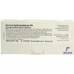 FERRUM HYDROXYDATUM D 6 ampullen, 8X1 ml