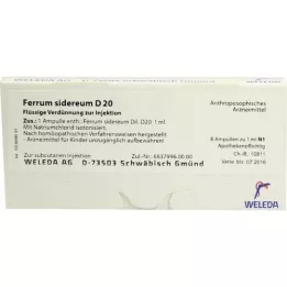 FERRUM SIDEREUM D 20 ampullen, 8X1 ml