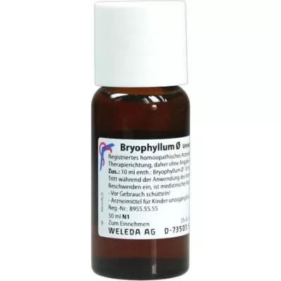 BRYOPHYLLUM Moedertinctuur, 50 ml BRYOPHYLLUM Moedertinctuur, 50 ml