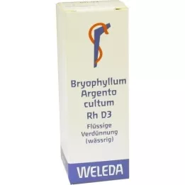 BRYOPHYLLUM ARGENTO cultum Rh D 3 Verdunning, 20 ml