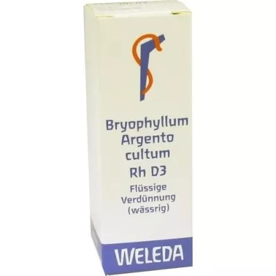 BRYOPHYLLUM ARGENTO cultum Rh D 3 Verdunning, 20 ml BRYOPHYLLUM ARGENTO cultum Rh D 3 Verdunning, 20 ml