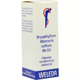 BRYOPHYLLUM MERCURIO cultum Rh D 3 Verdunning, 20 ml
