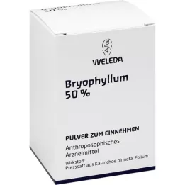 BRYOPHYLLUM 50% poeder voor oraal gebruik, 50 g