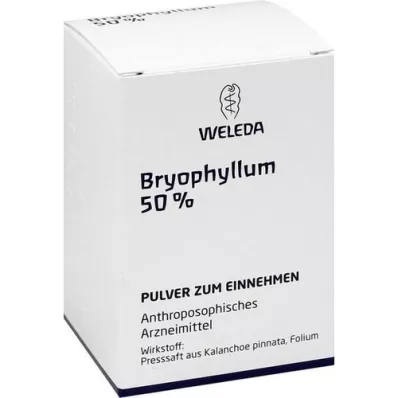 BRYOPHYLLUM 50% poeder voor oraal gebruik, 50 g