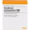 CEREBRUM COMPOSITUM NM Ampullen, 10 stuks
