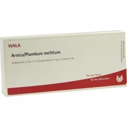 ARNICA/PLUMBUM /Mellitum-ampullen, 10X1 ml