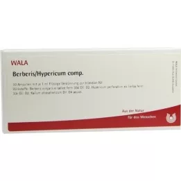 BERBERIS/HYPERICUM comp. ampullen, 10X1 ml