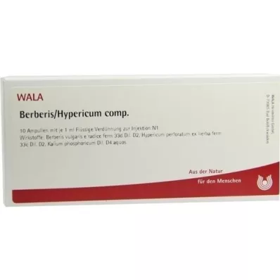 BERBERIS/HYPERICUM comp. ampullen, 10X1 ml