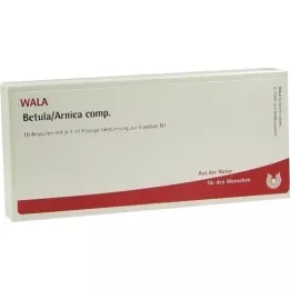 BETULA/ARNICA comp. ampullen, 10X1 ml