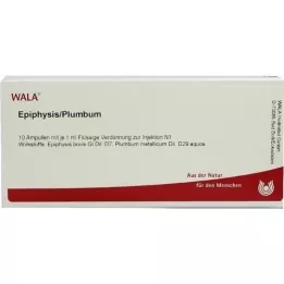 EPIPHYSIS/PLUMBUM Ampullen, 10X1 ml
