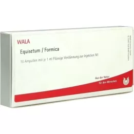 EQUISETUM/FORMICA Ampullen, 10X1 ml