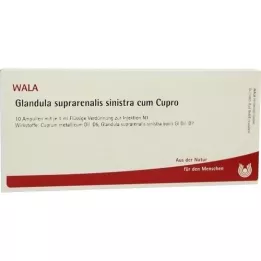 GLANDULA SUPRARENALIS sinistra cum Cupro-ampullen, 10X1 ml