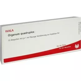 ORGANUM quadruplex-ampullen, 10X1 ml