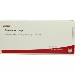 SAMBUCUS COMP Ampullen, 10X1 ml